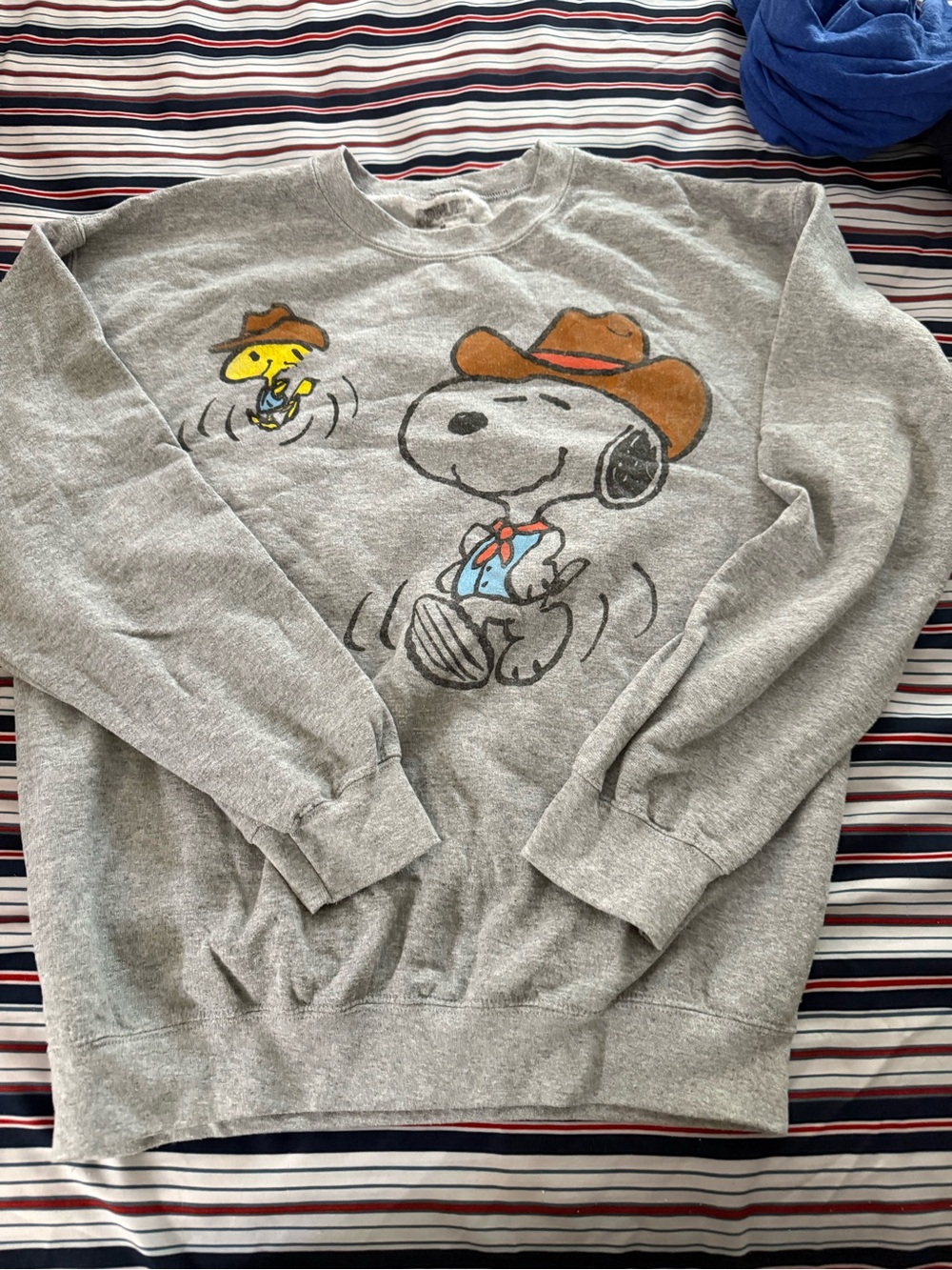 Snoopy & Woodstock Graphic Crewneck Sweatshirt